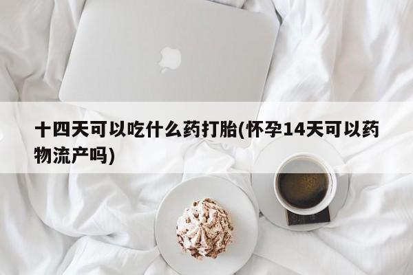 米非米索打胎药专卖微信十四天可以吃什么药打胎(怀孕14天可以药物流产吗)